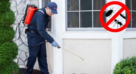Yenimahalle Gümüşkurt İlaçlama böcek ilaçlama ve haşere kontrolü — ilaclama-tr.com